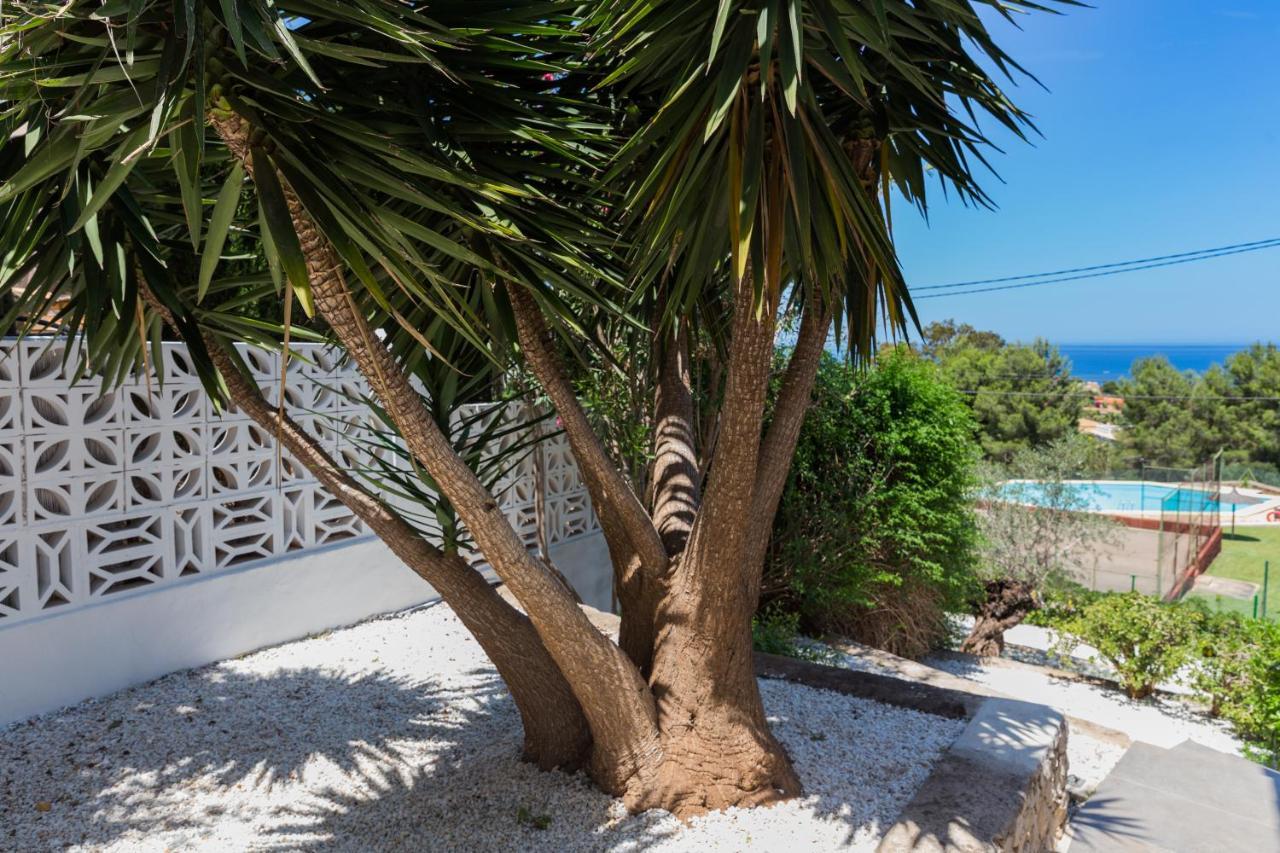Villa Siesta Denia Zewnętrze zdjęcie